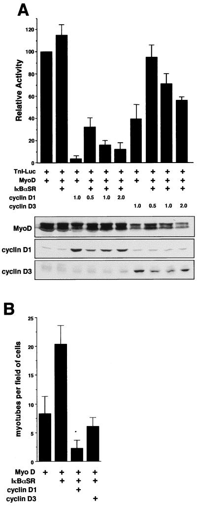 FIG. 7