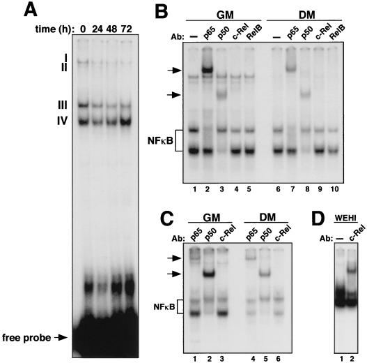 FIG. 1