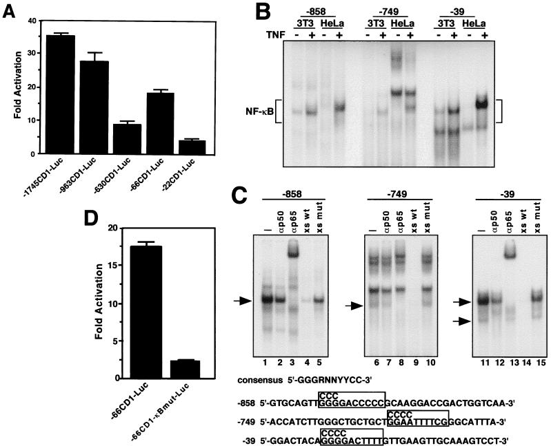 FIG. 10