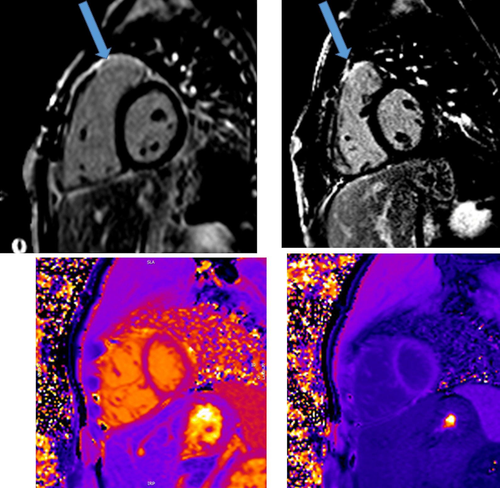 Fig. 9