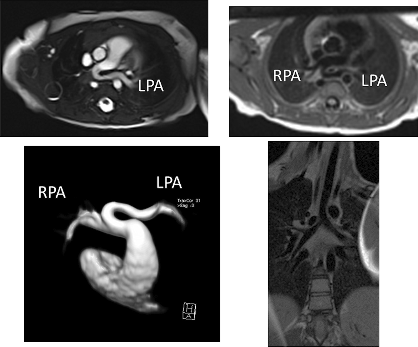 Fig. 39