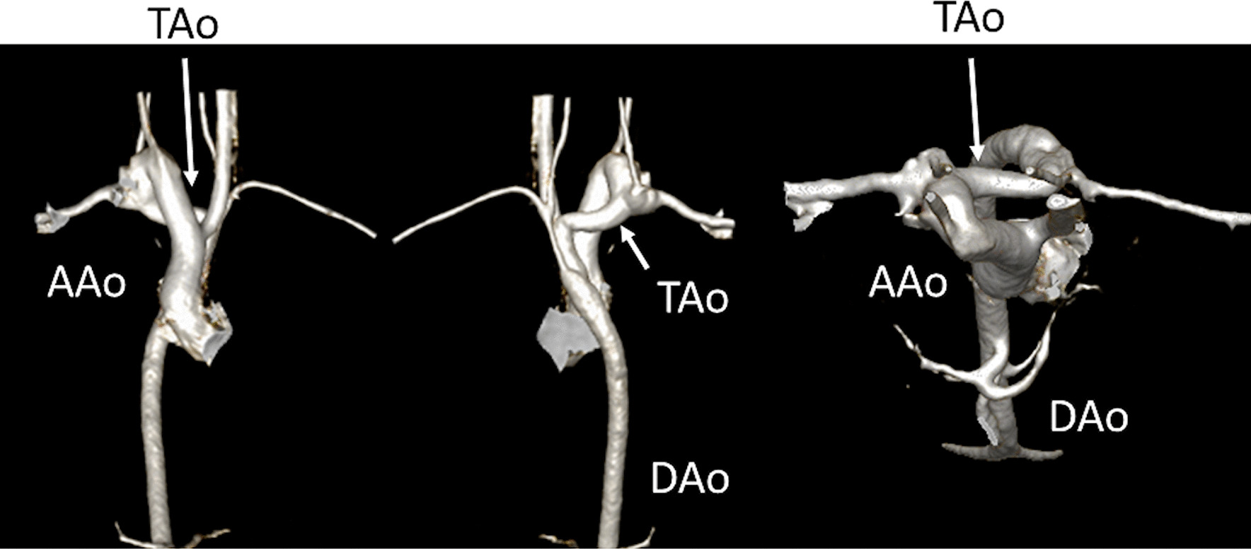 Fig. 37