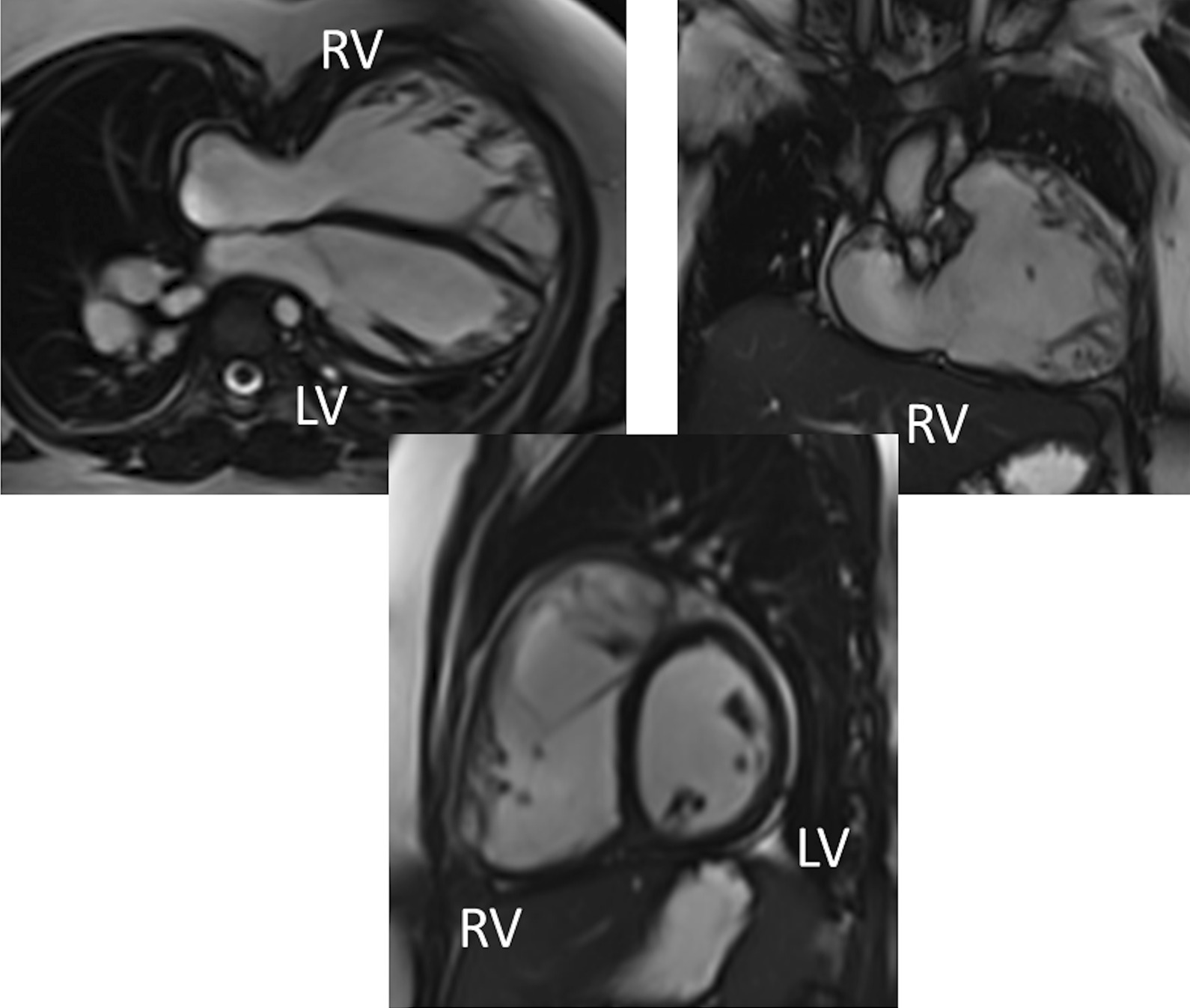 Fig. 7