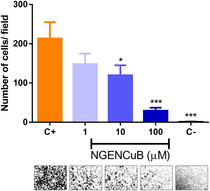 Figure 6