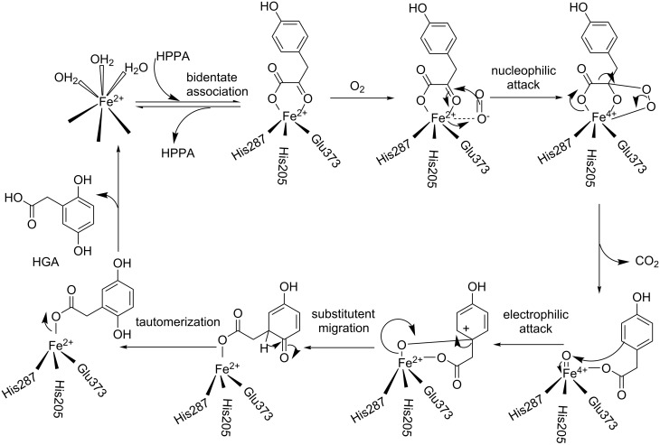 Scheme 1