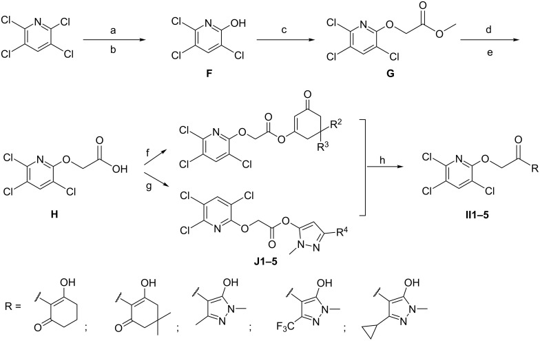 Scheme 4