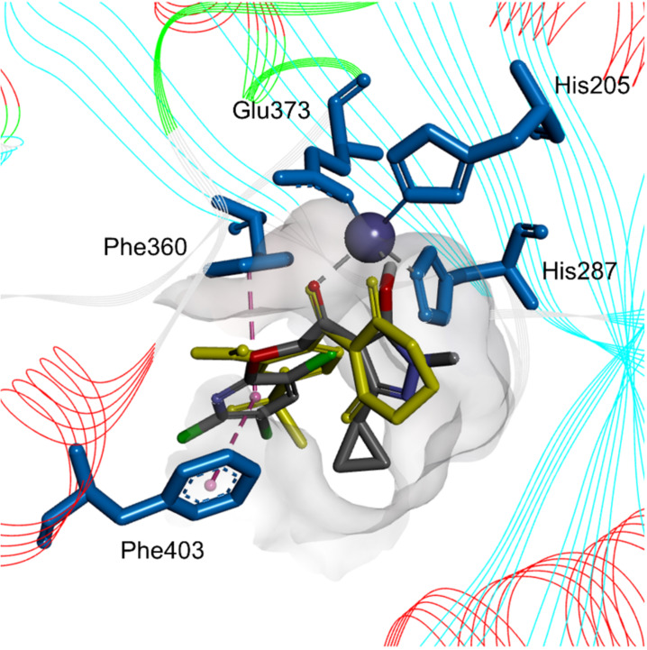 Figure 6