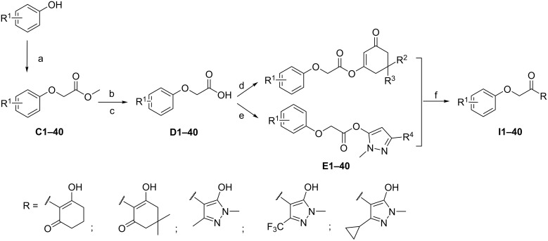 Scheme 2