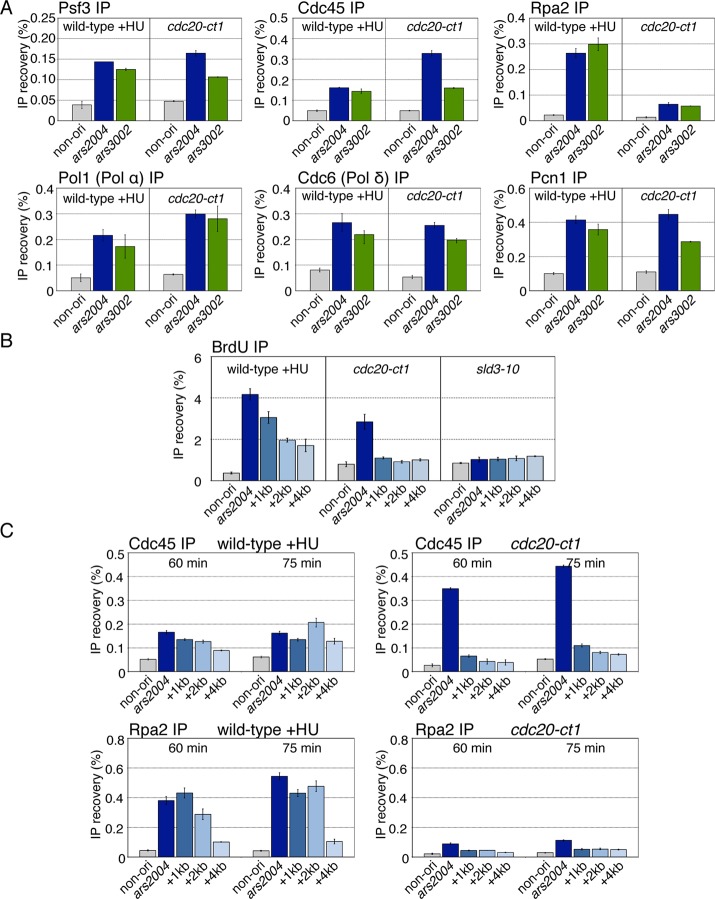 FIGURE 2: