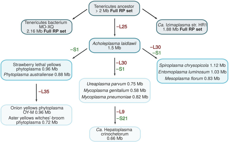 FIG 3