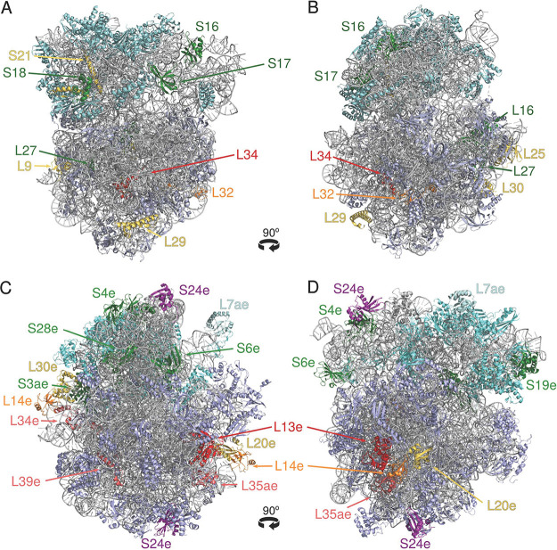 FIG 2