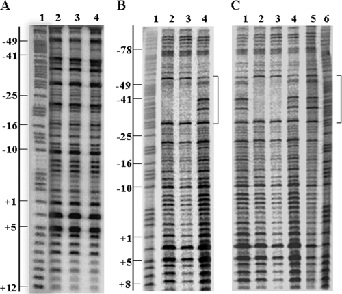 FIG. 3.