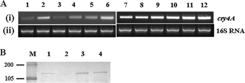 FIG. 5.