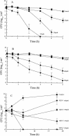 FIG. 2.