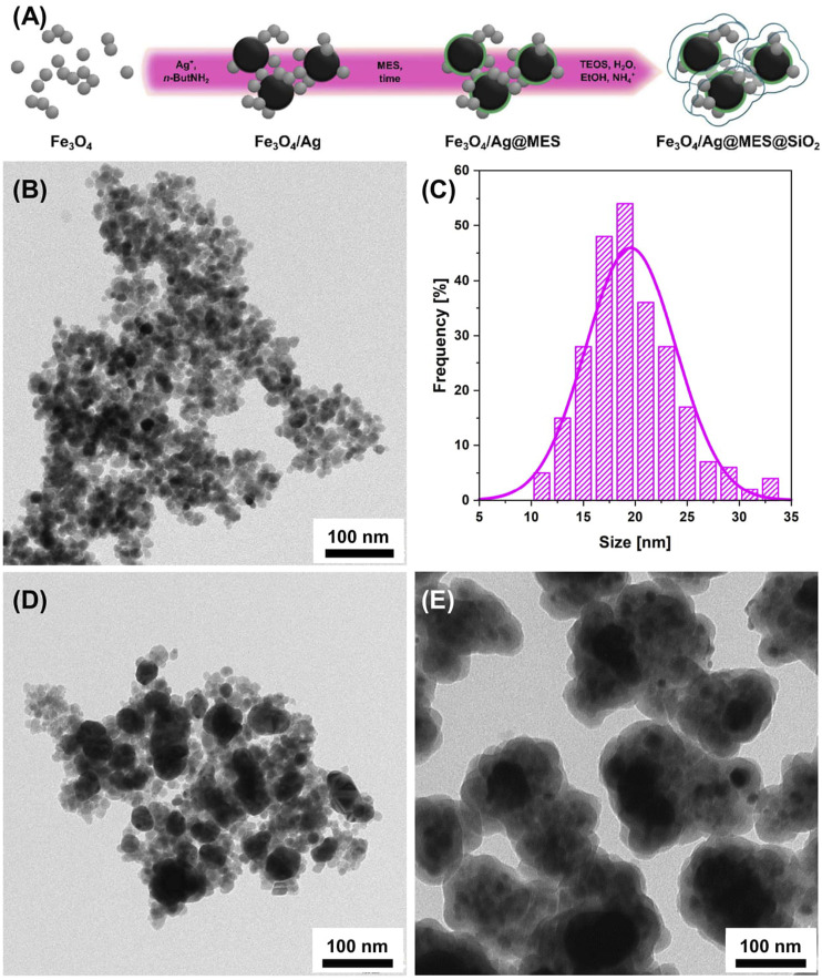 FIGURE 1