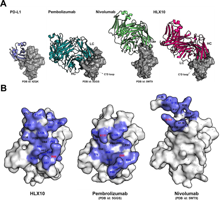 Fig 11