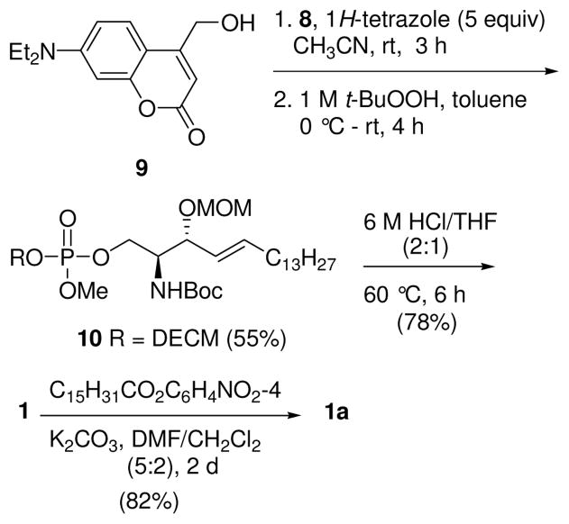 Scheme 2