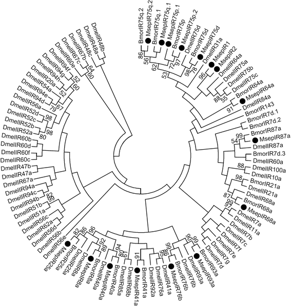 Fig. 5