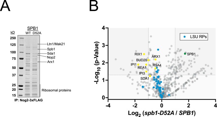 Extended Data Fig. 4