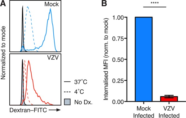 FIG 6