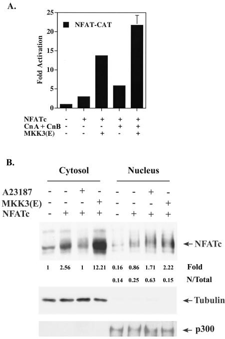 FIG. 3.