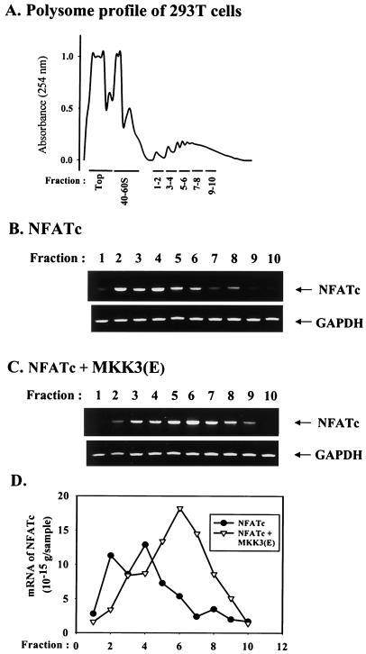 FIG. 7.