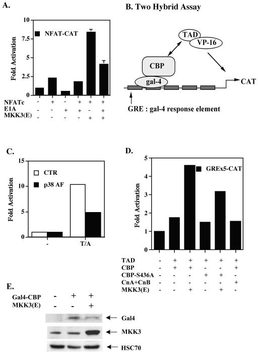 FIG. 8.