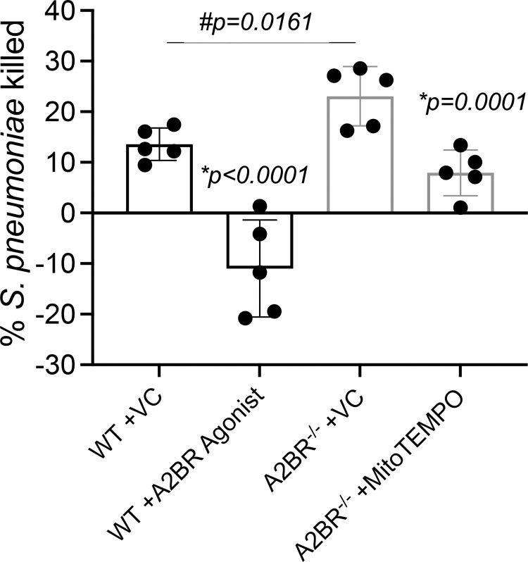 Fig 6