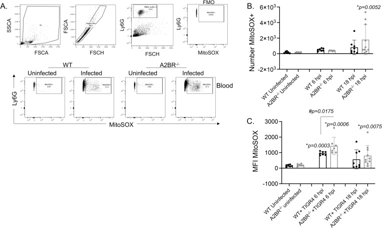 Fig 9