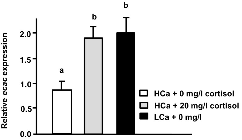 Fig. 6