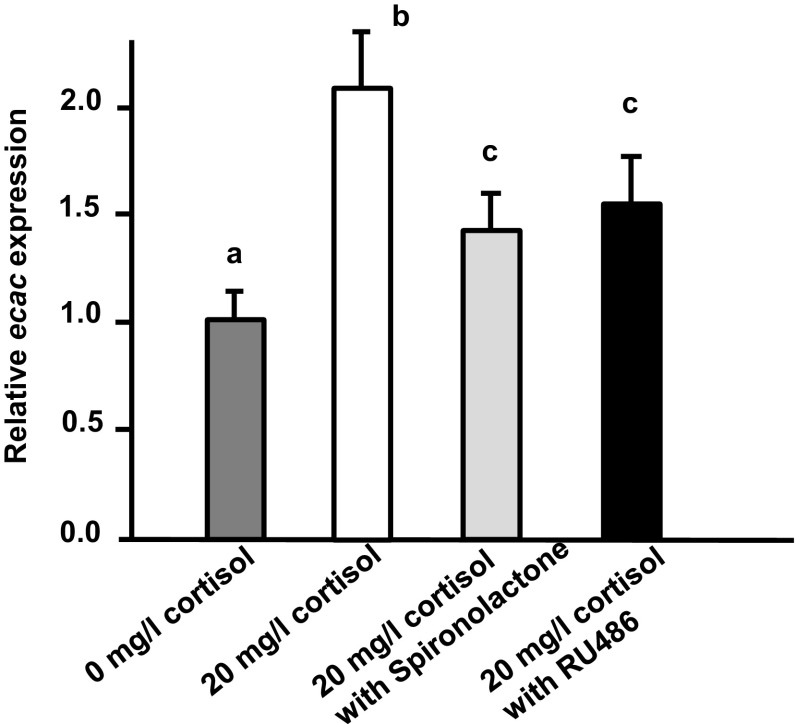 Fig. 7