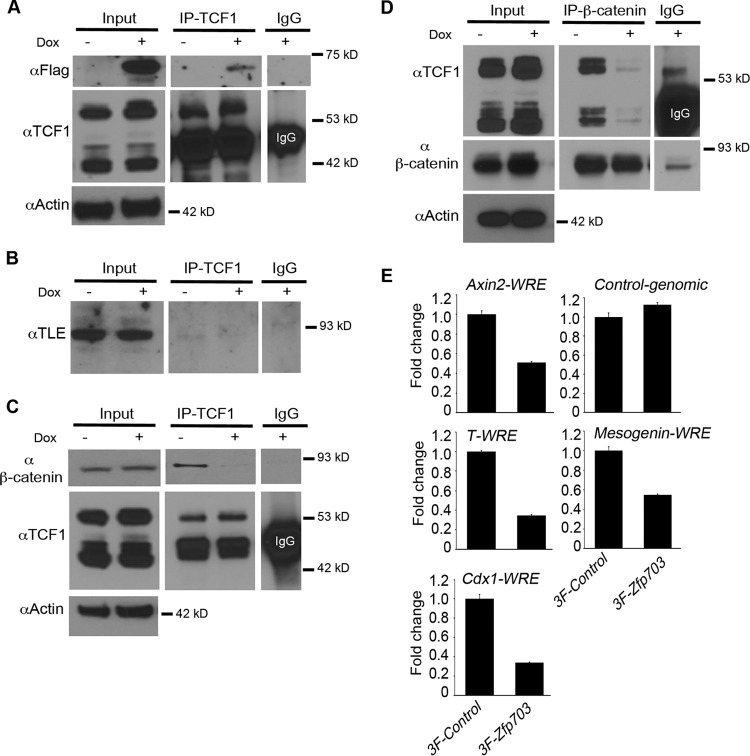 FIG 6