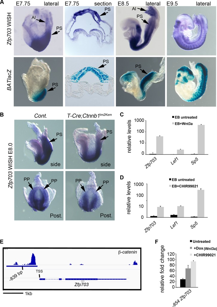 FIG 2