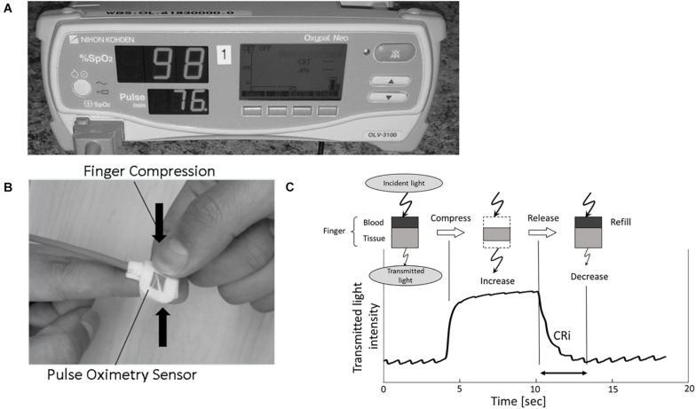 FIGURE 1