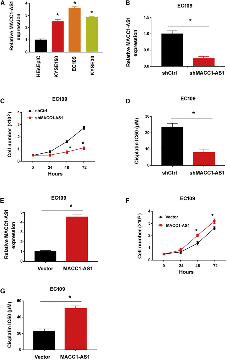 Figure 6