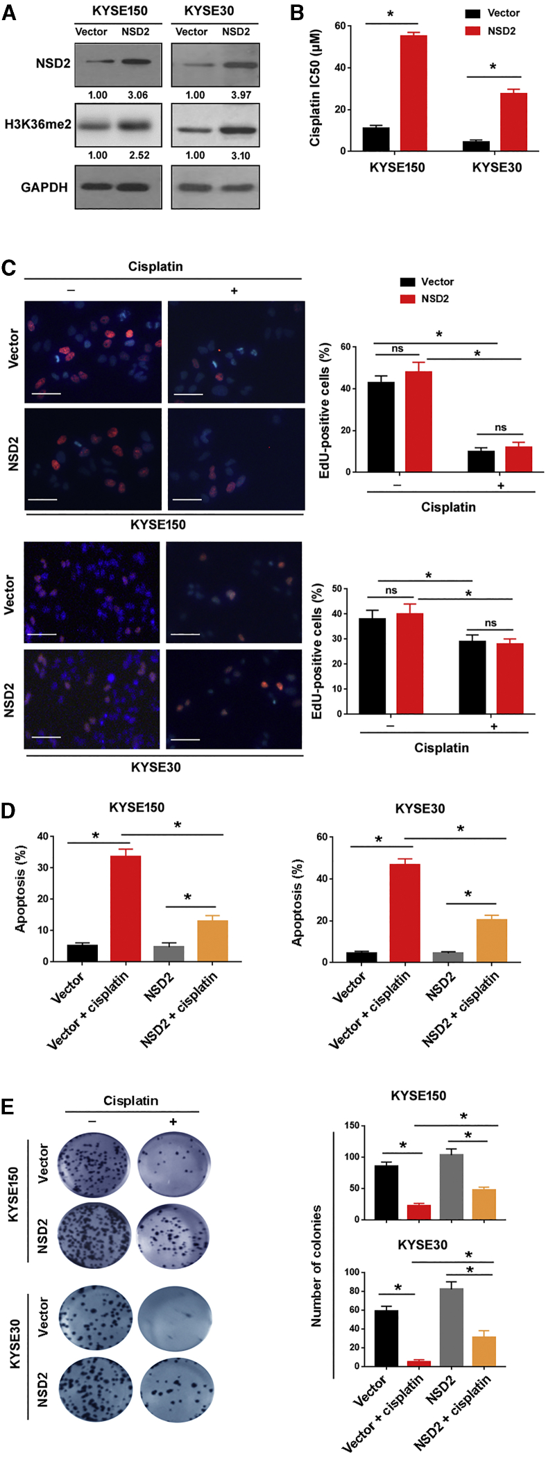 Figure 2