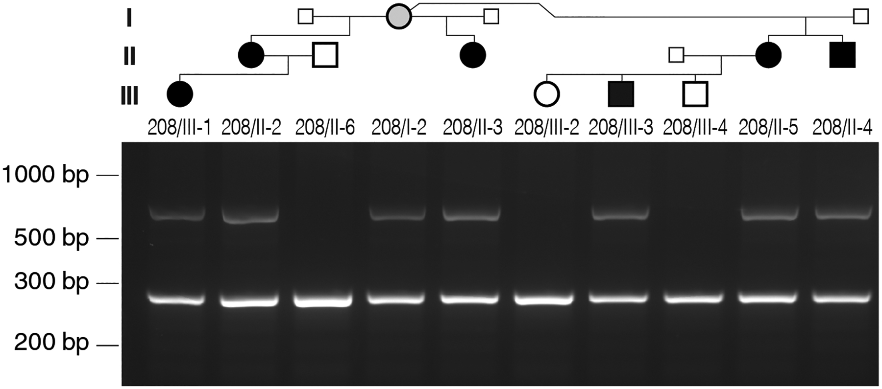 Figure 4: