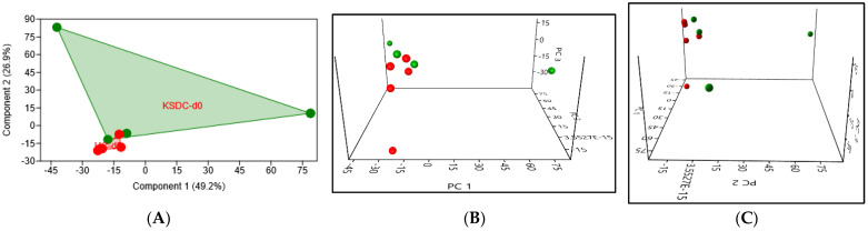 Figure 13