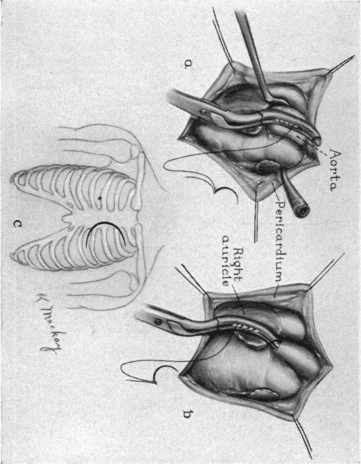 FIG. 8.