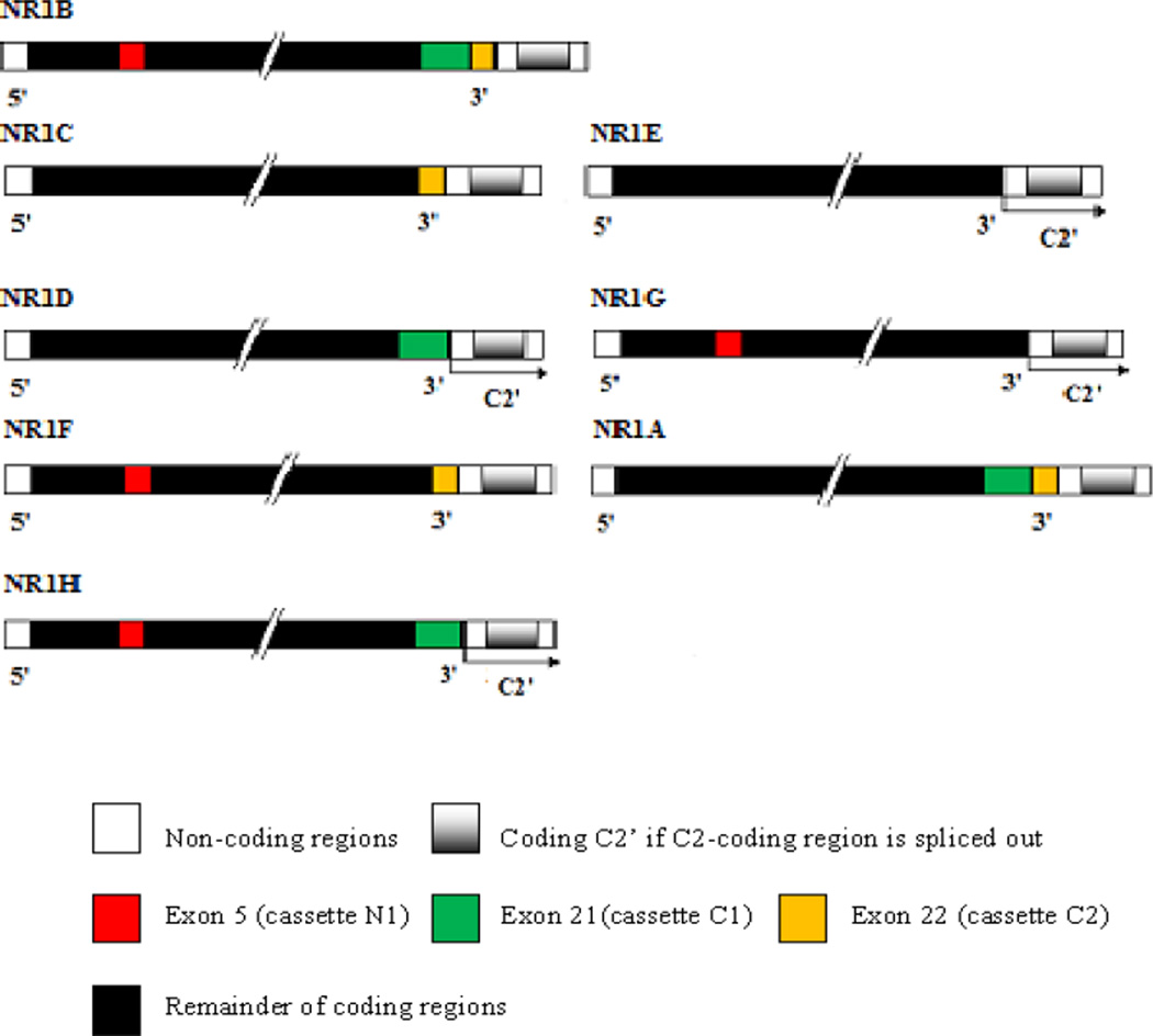 Fig. (3)