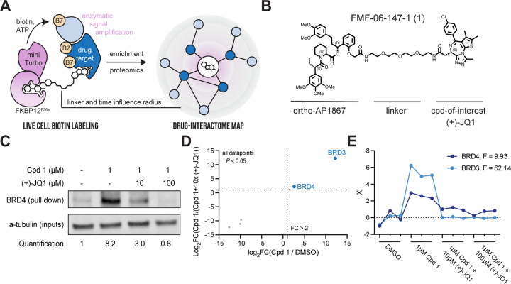 Figure 1 |