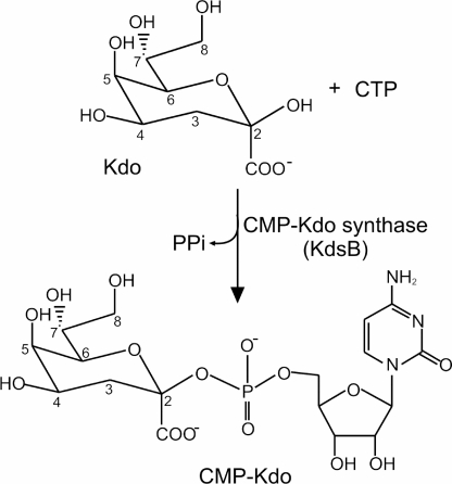 FIGURE 1.