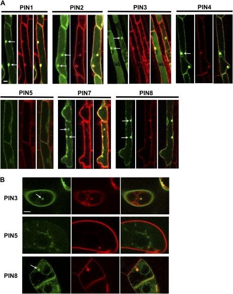 Figure 10.