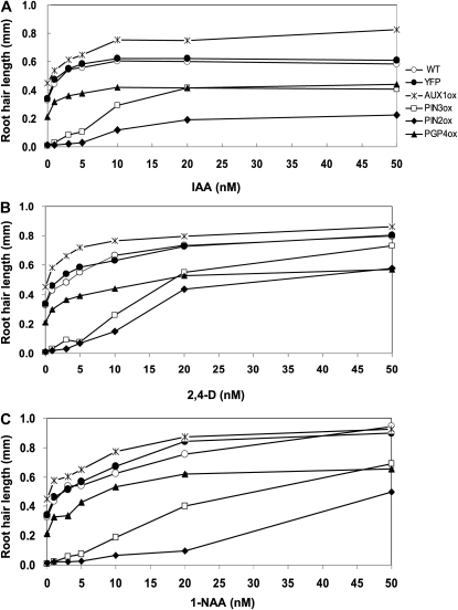 Figure 7.