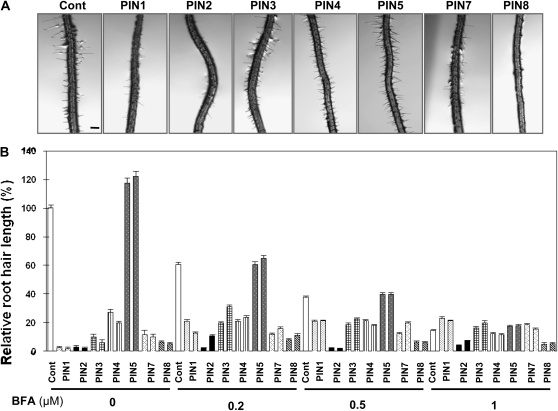 Figure 9.