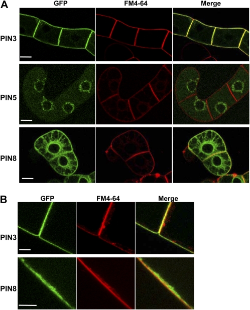 Figure 4.