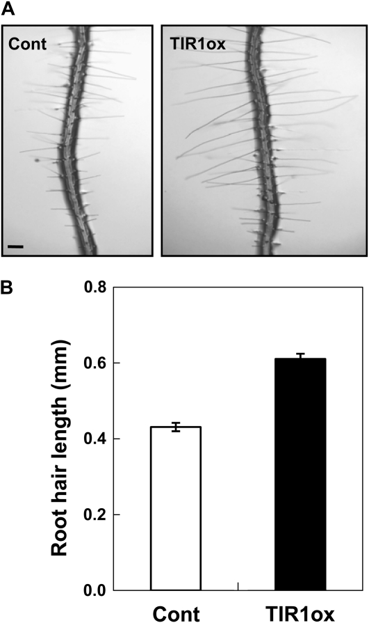 Figure 12.