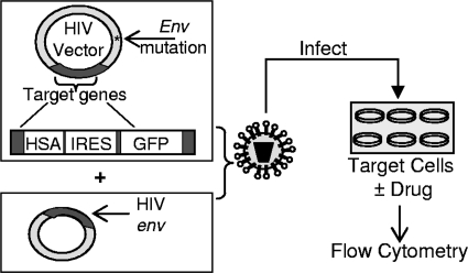 FIG. 1.