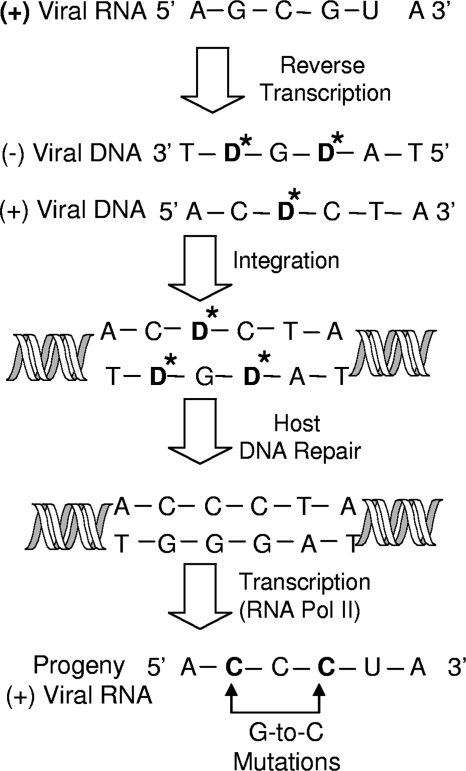 FIG. 7.