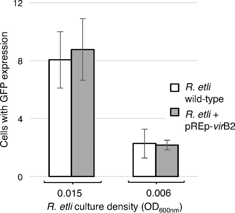 FIG 6